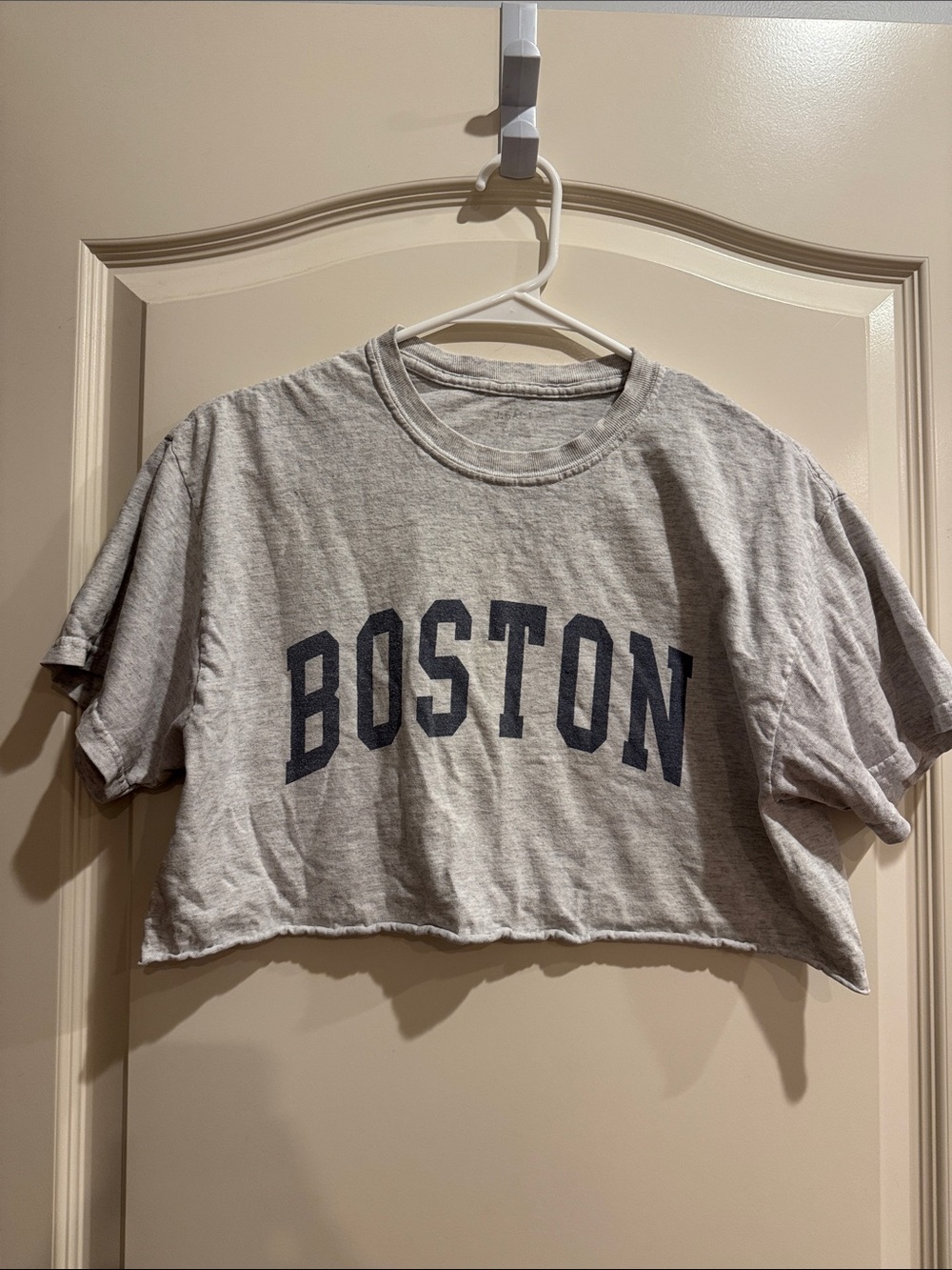 Brandy Melville Gray Cropped "BOSTON" Tee with Navy Print